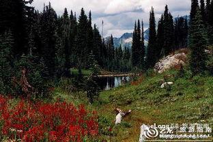 斯托克山,探寻自然奇观与历史足迹的绿色秘境