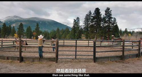 黄石 第二季,家族荣耀再续传奇