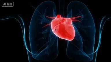 心脏前,探寻生命之源的奥秘