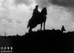 战争中的动物,战争中的动物传奇